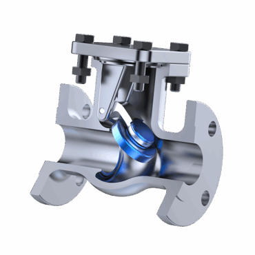 check valve